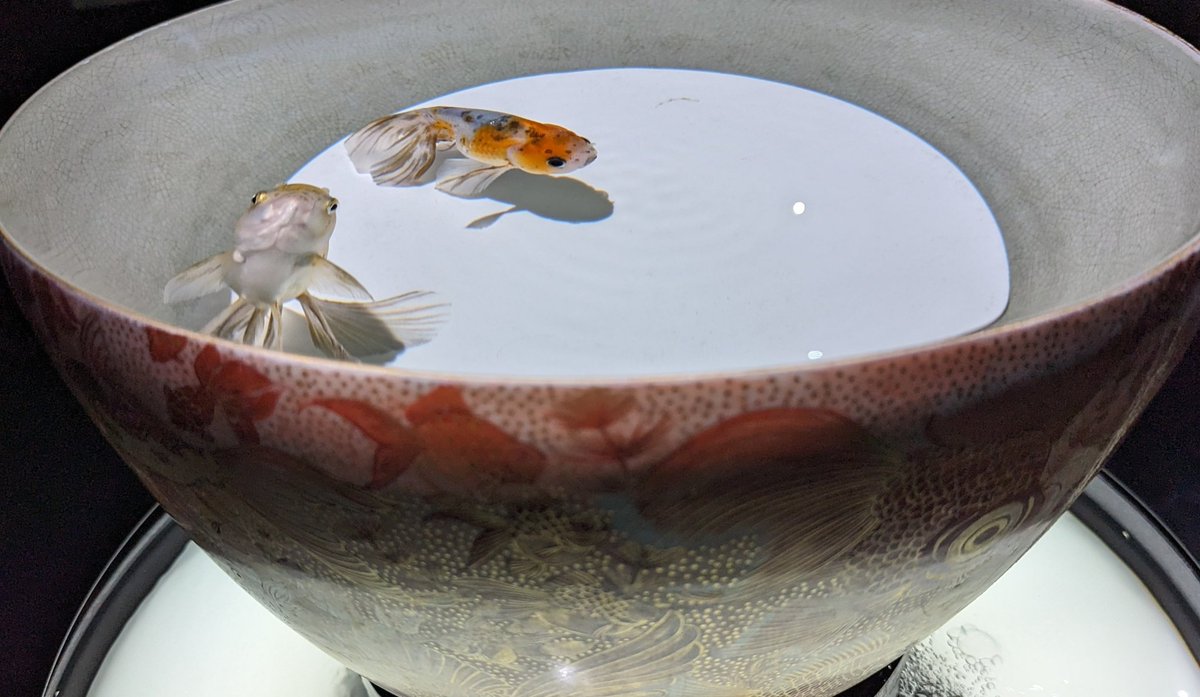 ourplayandart's tweet photo. *me and him*
It always has been
me and him, me me and him
Artworks together
#kidhaiku
#workwithmyson
#summerwriting
#haiku
#vss365
#writingcommunity https://t.co/vEtgN03WqF