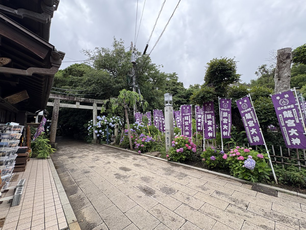 enoshimasanpo's tweet photo. うっ...嬉しすぎる😭😭😭😭😭

このお言葉こそ、わたしが生まれてきた理由だ✨

江の島の奥の方も紫陽花が見頃です💠💙

#江ノ島さんぽちゃん https://t.co/ircO22xvC6