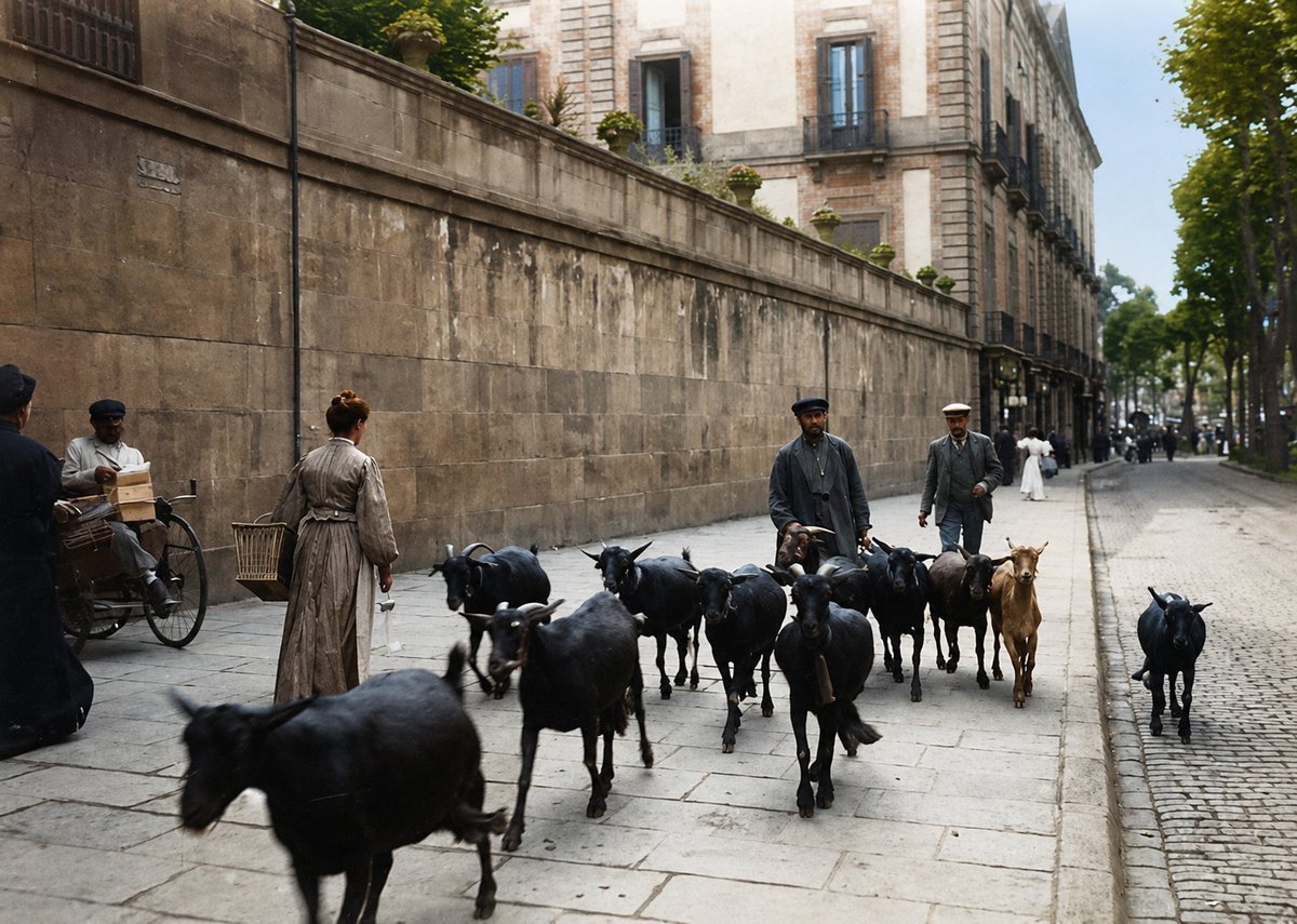 CatalunyaColor's tweet photo. Un ramat de cabres a la Rambla de Barcelona, davant del Palau Moja, el 1904. https://t.co/3AK8qHV2uU