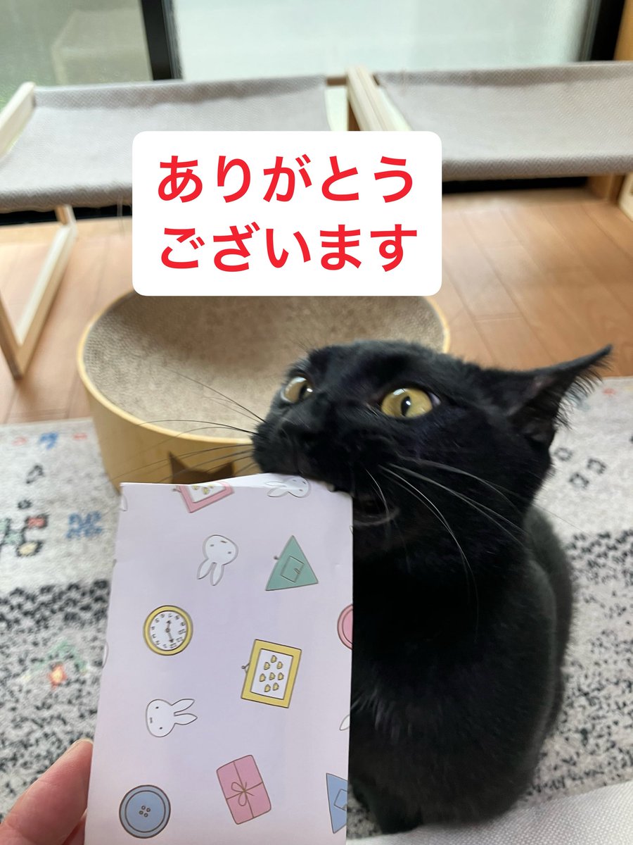 wanekocafe's tweet photo. 本日ご来店のmagbee 様から猫達にご寄付をいただきました。
いつもお気遣いいただきありがとうございます🙇🏻‍♀️
猫達の為、大切に使わせていただきますね。 https://t.co/pyrk0qry4t