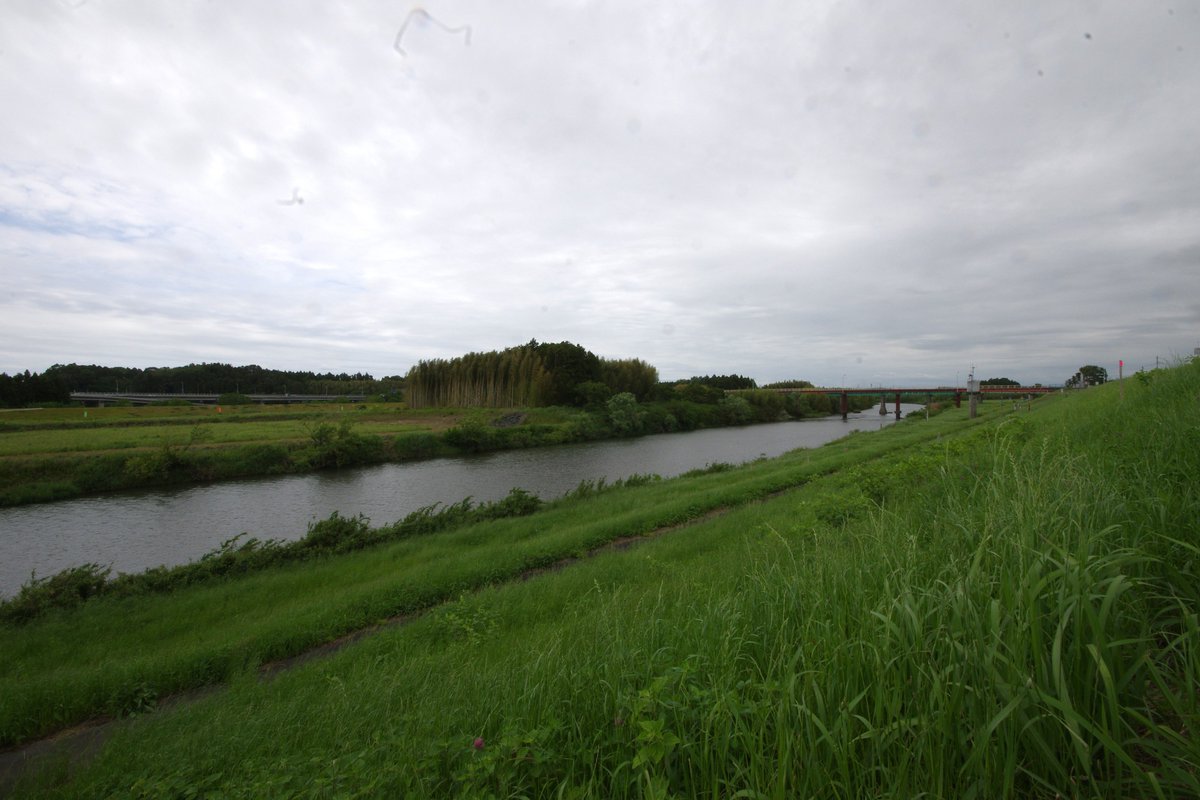 crystaliron's tweet photo. 今日は、久慈川の河口から約11.5km付近、水郡線常陸太田支線久慈川橋梁あたりをちょっとだけリハビリ・ウォーキングです。股関節・太ももの外側がそれほど痛くならずに歩くことが出来ました。
♭久慈川　♭常陸太田市上河合町　♭水郡線久慈川橋梁 https://t.co/cNjxGYQEvY