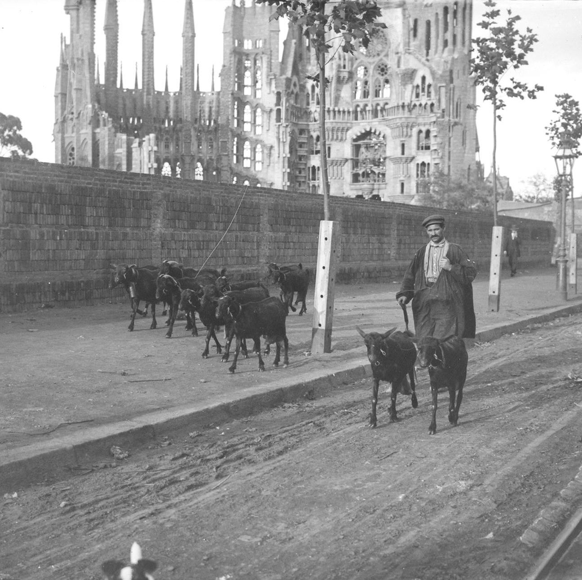 BoigBCN's tweet photo. 6/ La Sagrada Família era la capital de Cabralunya, en qualsevol fotografia antiga del Temple, hi ha una cabra mínim, i normalment dotzenes. Abans teniem remats de cabres, ara en tenim de turistes. https://t.co/SX4acEJfVY