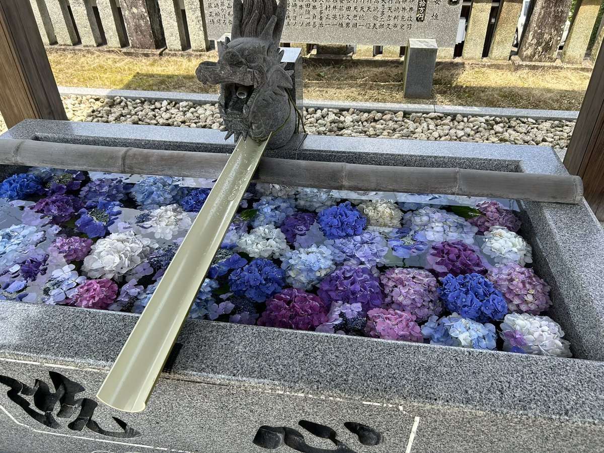 Ma101107's tweet photo. 今日は娘と久しぶりのお出かけ
紫陽花綺麗でした！！
#粟井神社 https://t.co/altbkoW2PD