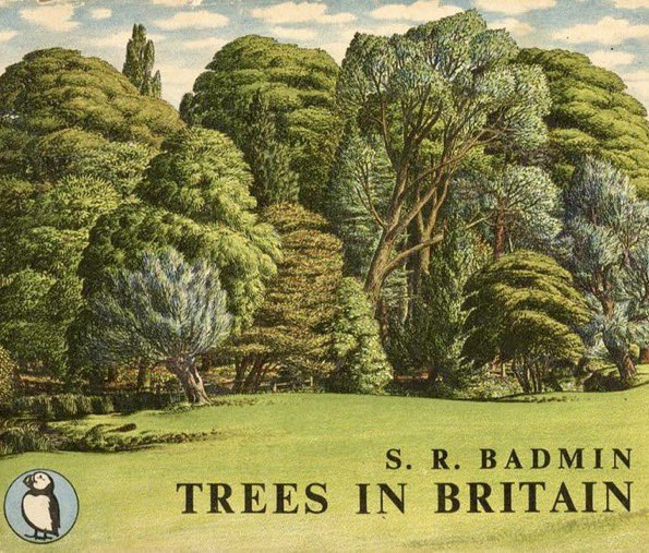 LBFlyawayhome's tweet photo. Other work by the Ladybird artists
The Puffin Picture Book: ‘Trees in Britain’ (1943) 
Summer on the front. Winter on the back. Lots of arboreal loveliness in-between 
Artist: SR Badmin https://t.co/Mcgx1TSblT