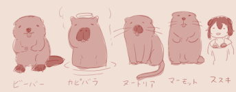 ssk_101's tweet photo. ビーバー、カピバラ、ヌートリア、マーモット、SSKのお手書きありがと！！！
全部いっしょよプレーリードッグもいっしょよ https://t.co/zNHejILISm