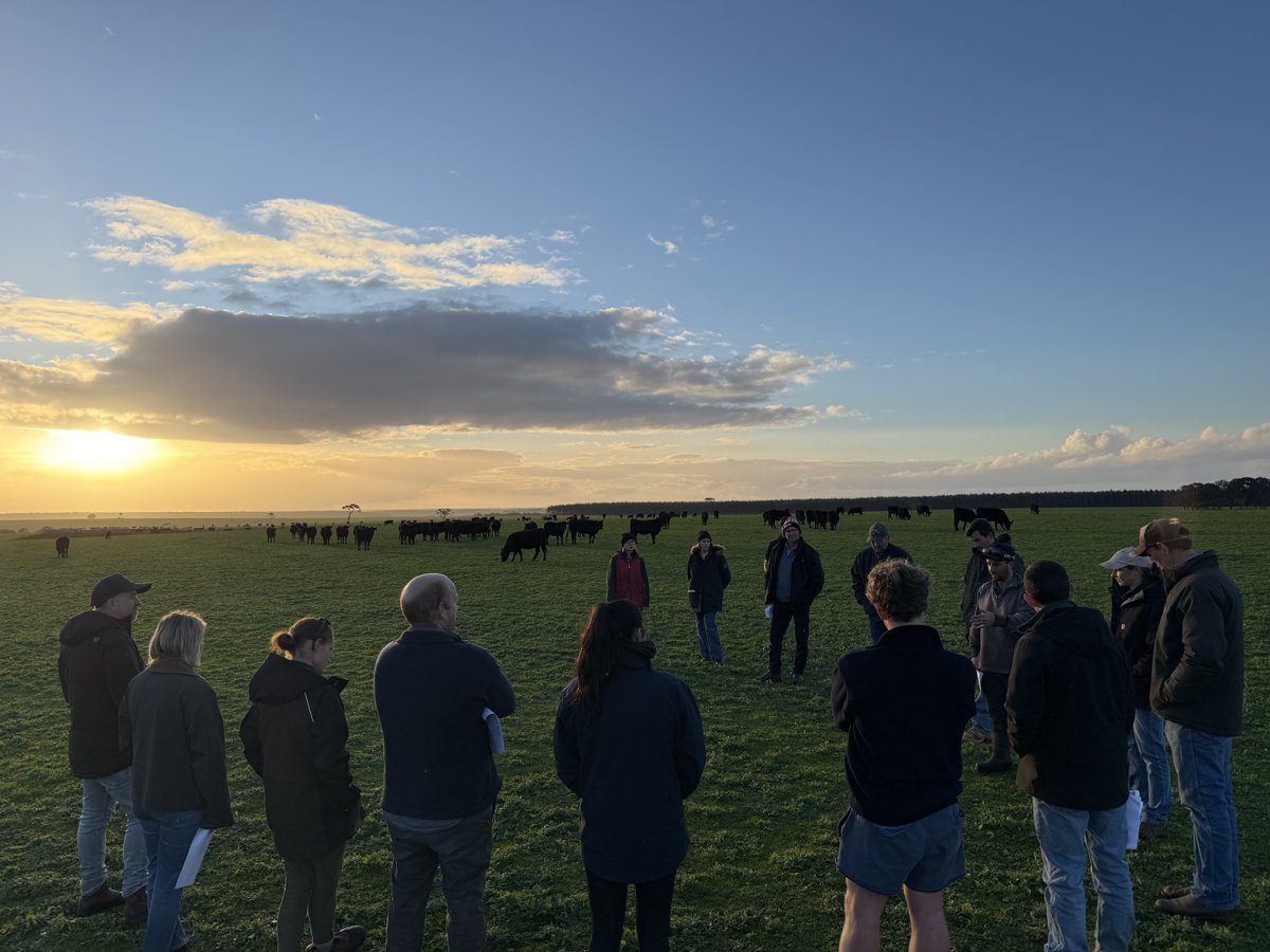 paradooprime's tweet photo. Some ripper insights into dry matter production at #vickerybros fert trial , some grazing canola results and #halter tech and a great meal at the Coleraine Hotel. #bwbl #mla #awi https://t.co/Dhs5SuZjkp
