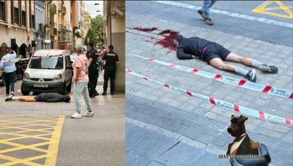 MyLordBebo's tweet photo. 🇪🇸 Gunman shot &amp; killed a man on Carrer de Balmes in Barcelona directly outside the National Police office in broad daylight

Shot him directly in the head &amp; fled

But it definitely was an execution! Have we ever had such cases in central Europe before, so blatant?... https://t.co/w4HwkKDQx4