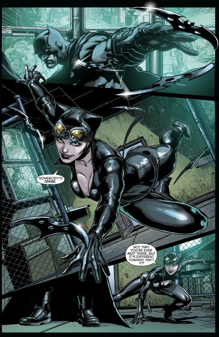 SKINSWukong's tweet photo. #Batman #Catwoman #DC #Comics #DCComics https://t.co/KwvX7wggN2