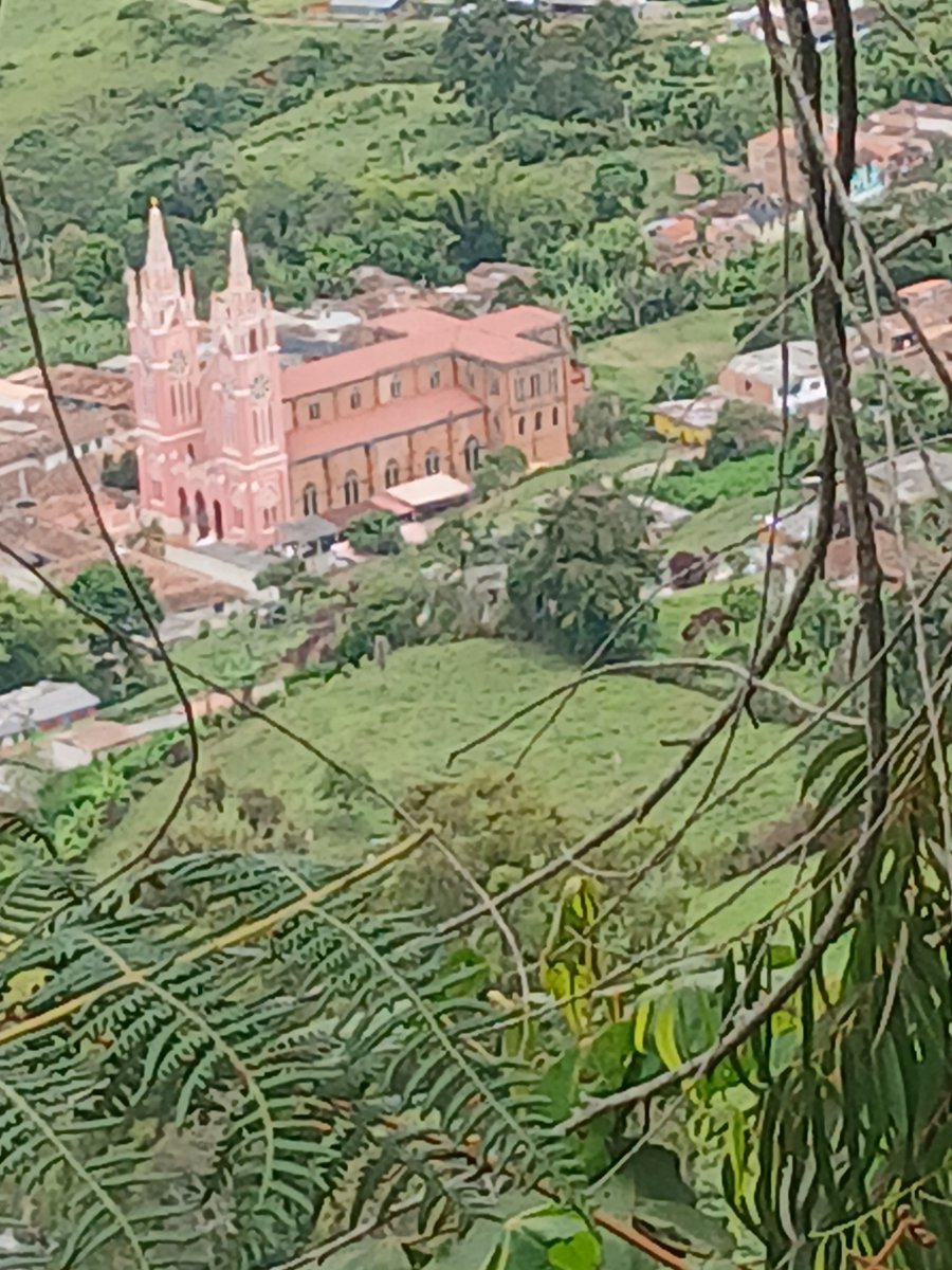 gloriabhorquez's tweet photo. 👩‍🌾 Mañanas de bendición para todos los seres vivos.
#VivircomoDiosmanda es la clave para eliminar el desastre que hoy nos obstaculiza el camino de bienestar y libertad en Colombia.
#FelizMiércoles
Trabaja hoy con la convicción de que la consecuencia es la que deseas tener. https://t.co/W2GCyYQlmu