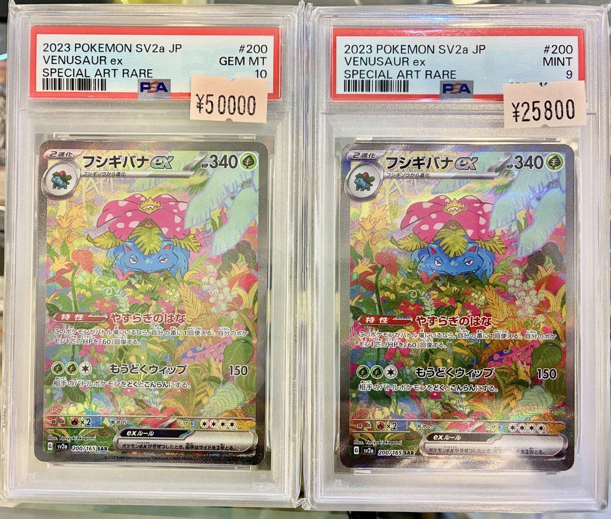 アドレナリン日本橋店 商品紹介📢】 👑PSA10&9👑 🌸フシギバナex