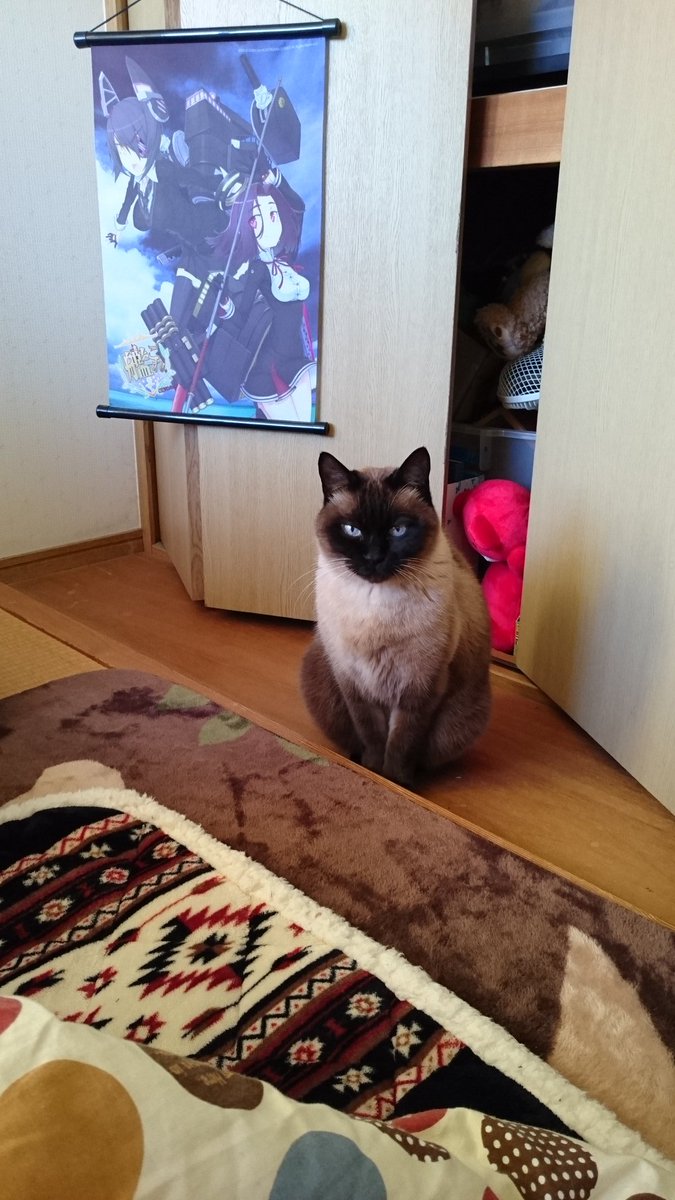 Coma1910's tweet photo. これは実家にいた時のムクムクの焦げ https://t.co/ne86Nv1bHZ