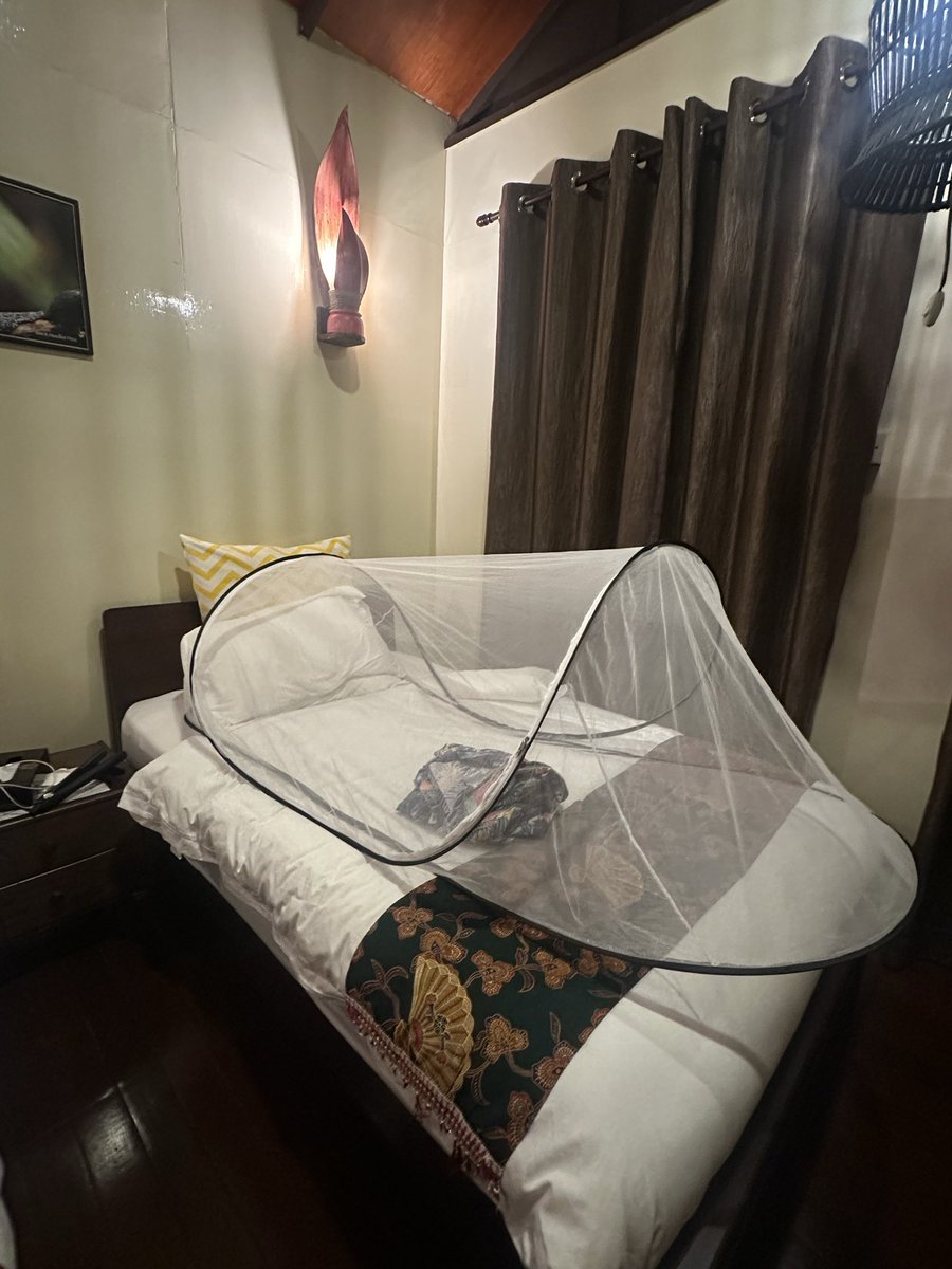 MunchPudding's tweet photo. #PostcardFromSepilok Sepilok Forest Edge Resort was very nice! Mumโs top tip if youโre going anywhere with little creatures and mosquitos is this pop up bed ti stop them crawling on you in the night! ๐ฒ๐พ ๐ชฐ ๐ ๐บ https://t.co/vE8VUQkXEH