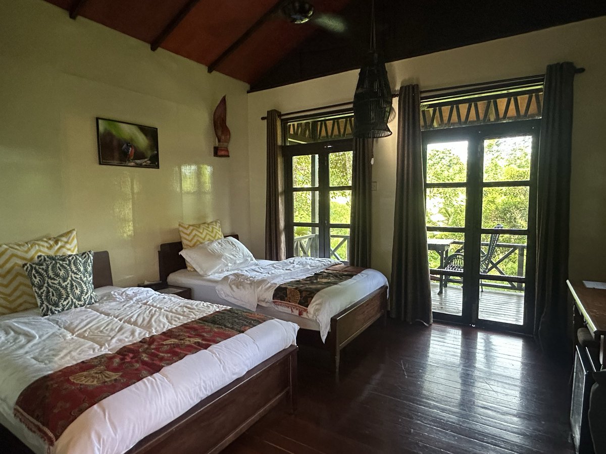 MunchPudding's tweet photo. #PostcardFromSepilok Sepilok Forest Edge Resort was very nice! Mumโs top tip if youโre going anywhere with little creatures and mosquitos is this pop up bed ti stop them crawling on you in the night! ๐ฒ๐พ ๐ชฐ ๐ ๐บ https://t.co/vE8VUQkXEH