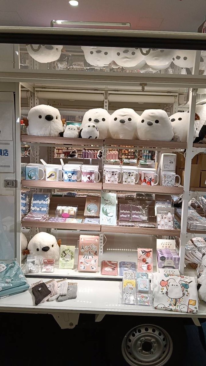 kotoricafe2014's tweet photo. #シマエナガマーケット立川
早々に売り切れてしまった、
@tottoppi さんの新作マグが今朝入荷しました❣️
めちゃ可愛い🩷☕️です♪

シマエナガ🚗にディスプレイしております💬💬 https://t.co/Ssj9MnQXLJ