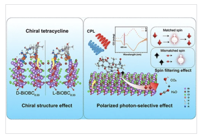 ☆　Chi・Chi様 ｜Biocell、サンプロ、ルース Researchers have engineered chiral BiOCl/BiOBr hybrids with