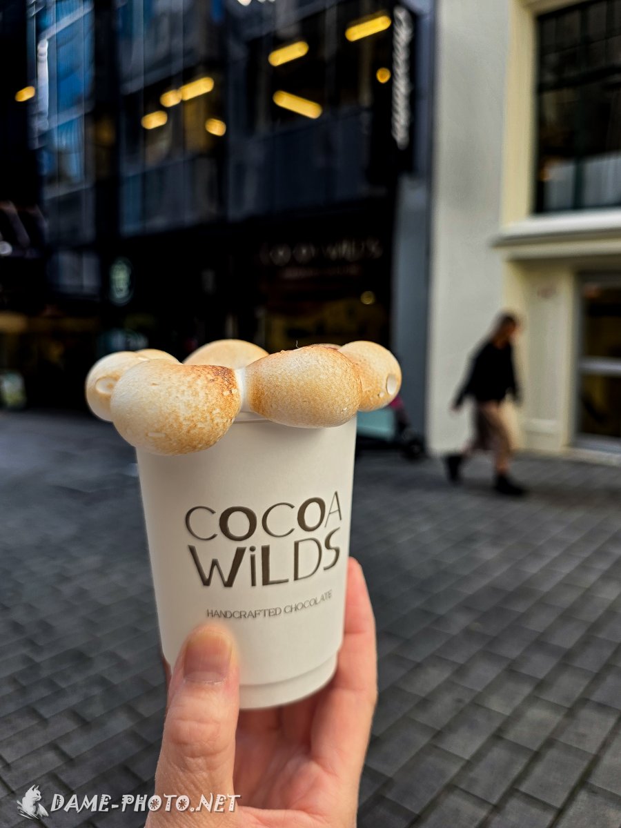 iso800cc's tweet photo. 🍫 Cocoa Wilds Chocolate

ポン・デ・リングみたいなマシュマロ付きの
ホットチョコレート☕️

チョコレートの濃さを選べるので
57%にしてみた🍫これは人気なのも納得😋

試食のトリュフチョコも美味しくて
ついつい買いたくなるお店🤤

#旅行好きな人と繋がりたい
#オークランド #ニュージーランド https://t.co/OnK886HgOG