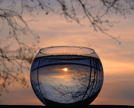 alwayslife's tweet photo. Don’t forget the things you once you owned. Treasure the things you can’t get. Don't give up the things that belong to you and keep those lost things in memory. https://t.co/j20CNsixsB
