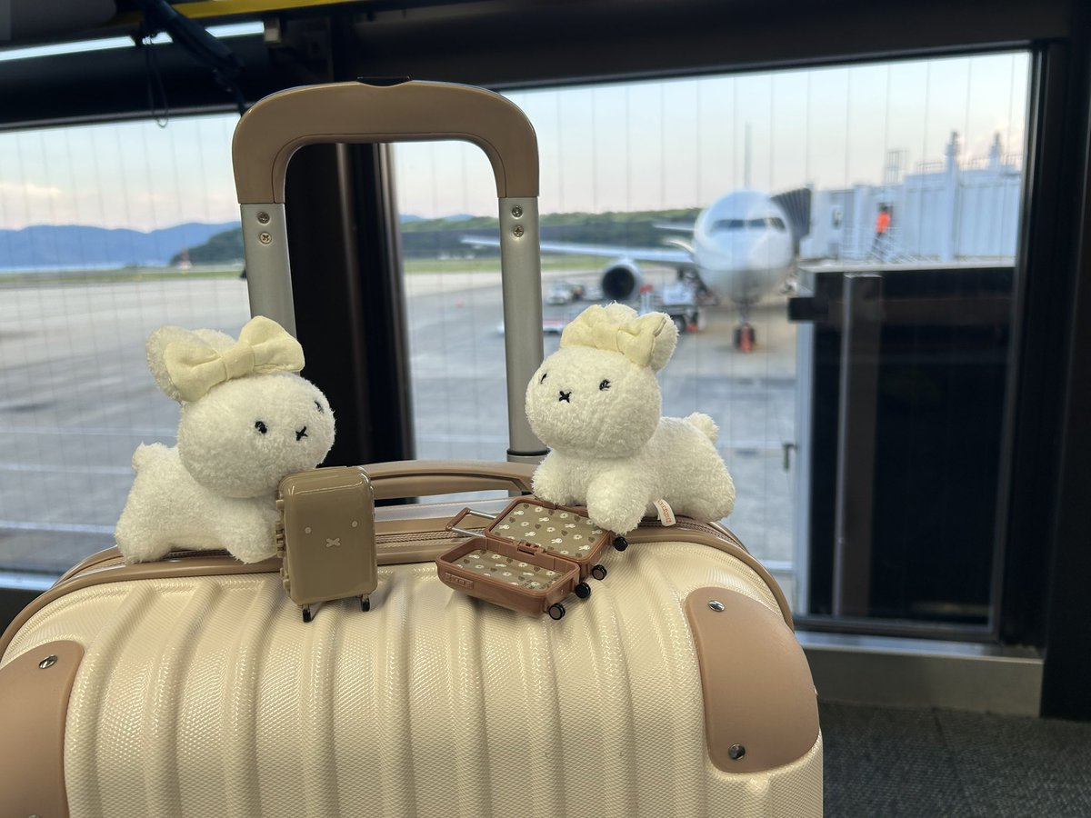 rut_ruby_'s tweet photo. おうちにかえろうね✈️ https://t.co/G87xZ5DtZK