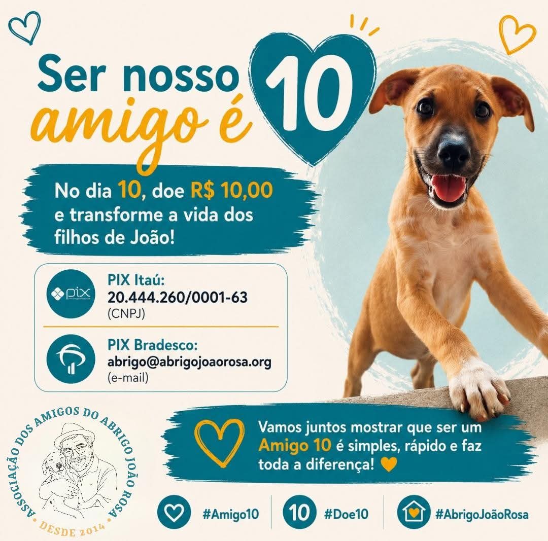 abrigojoaorosa's tweet photo. No dia 10, você tem um encontro marcado com a solidariedade: doar R$ 10,00 para transformar a vida dos cães do Abrigo João Rosa 🐾✨

Pode parecer pouco, mas para eles é muito: ração, cuidado e esperança de dias melhores. 🙌 https://t.co/vCO3u2ecUN