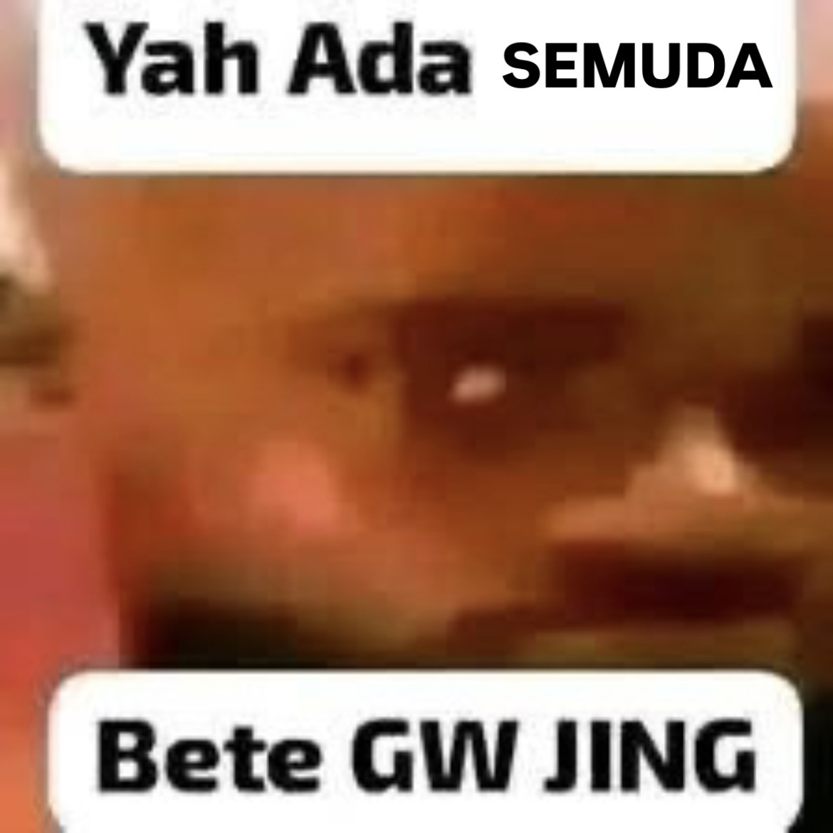 esschew's tweet photo. 05) Gak penting jujur yaa, free memenya guys! https://t.co/aMFoRzdQcX