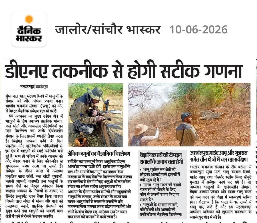 wii_india's tweet photo. ๐ฐ๐ป Project Sloth Bear
Featured in Dainik Bhaskar
The ongoing efforts under #WIIProjectSlothBear were recently featured in Dainik Bhaskar (Jalore/Sanchore edition), highlighting scientific research and conservation activities focused on Sloth Bears in western India.
The report highlights surveys being conducted in Sundha Mata Conservation Reserve, Mount Abu Wildlife Sanctuary (Rajasthan), and Jessore Sloth Bear Sanctuary (Gujarat) to better understand Sloth Bear ecology, habitat use, food resources, movement patterns, and population status.
The article also features the use of DNA-based analysis of non-invasive samples, such as scat, to support population monitoring and improve our understanding of genetic diversity in Sloth Bear populations. In addition, it highlights the project's efforts to strengthen research on the humanโbear interface and identify science-based approaches that promote coexistence in shared landscapes.
Coverage by national and regional print and digital media helps bring conservation stories closer to the public, raise awareness about wildlife research and coexistence, and can play a significant role in promoting conservation action.
#ProjectSlothBear #WIIProjectSlothBear #SlothBear #WildlifeResearch #ConservationScience #HumanBearCoexistence #MediaCoverage
@moefcc @CentralIfs @NationalCAMPA @wii_india @SACONCoimbatore @wii_eiacp @rameshpandeyifs @GobindsagarBha1 @RuchiBadola2 @CRamesh_WII @BivashPand34733 @Kramesh95 @amitwii @UpmaManral @ashishjangid22 @avinashyadv95 @utkarsh41995 @kaushikforwild @Suraj_Chauhan31 @niranjanKv2770 @Kavyak0204