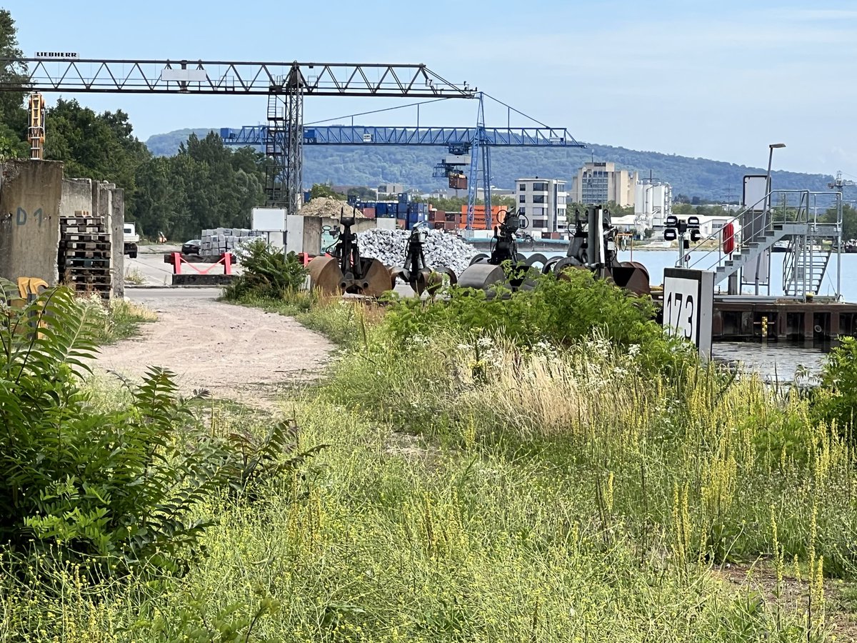 Medienzigarre's tweet photo. Und hier (@stagerbn) an der Stelle, wo sich der Rhein spaltet in Rheinseitenkanal (Frankreich) und Altrhein,  #Rheinkilometertafel 173 auf deutscher Seite am Altrhein (übrigens an nicht wirklich zugänglichem, da abgesperrtem Ort; Tafel durch einen Zaun fotografiert) https://t.co/5lo7dqVzBS