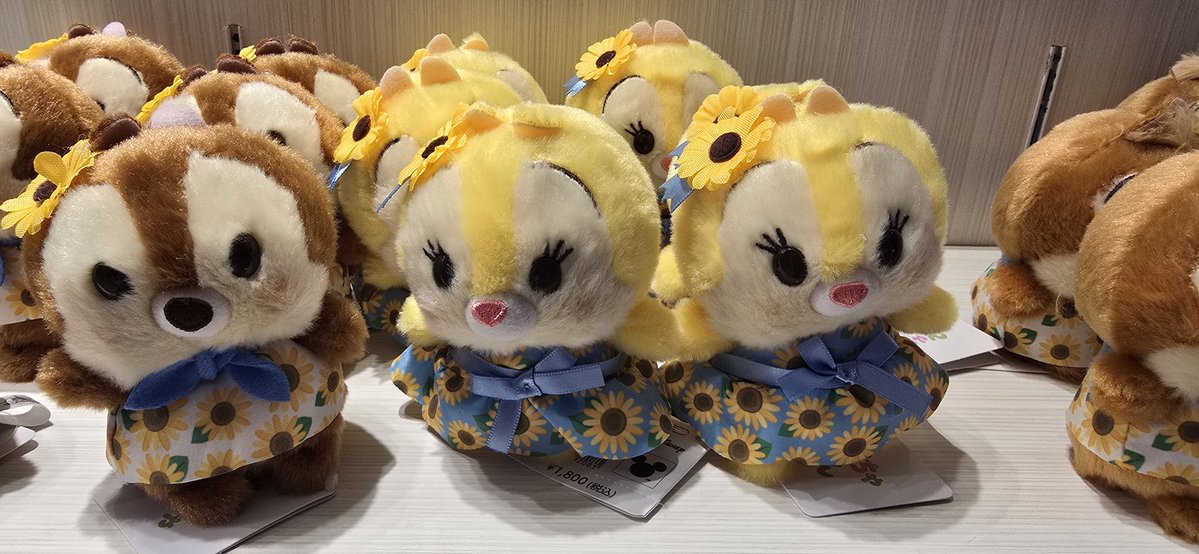 chainx25's tweet photo. そして、お嬢のぽちゃ、かわいすぎ https://t.co/P7TSklgE1f