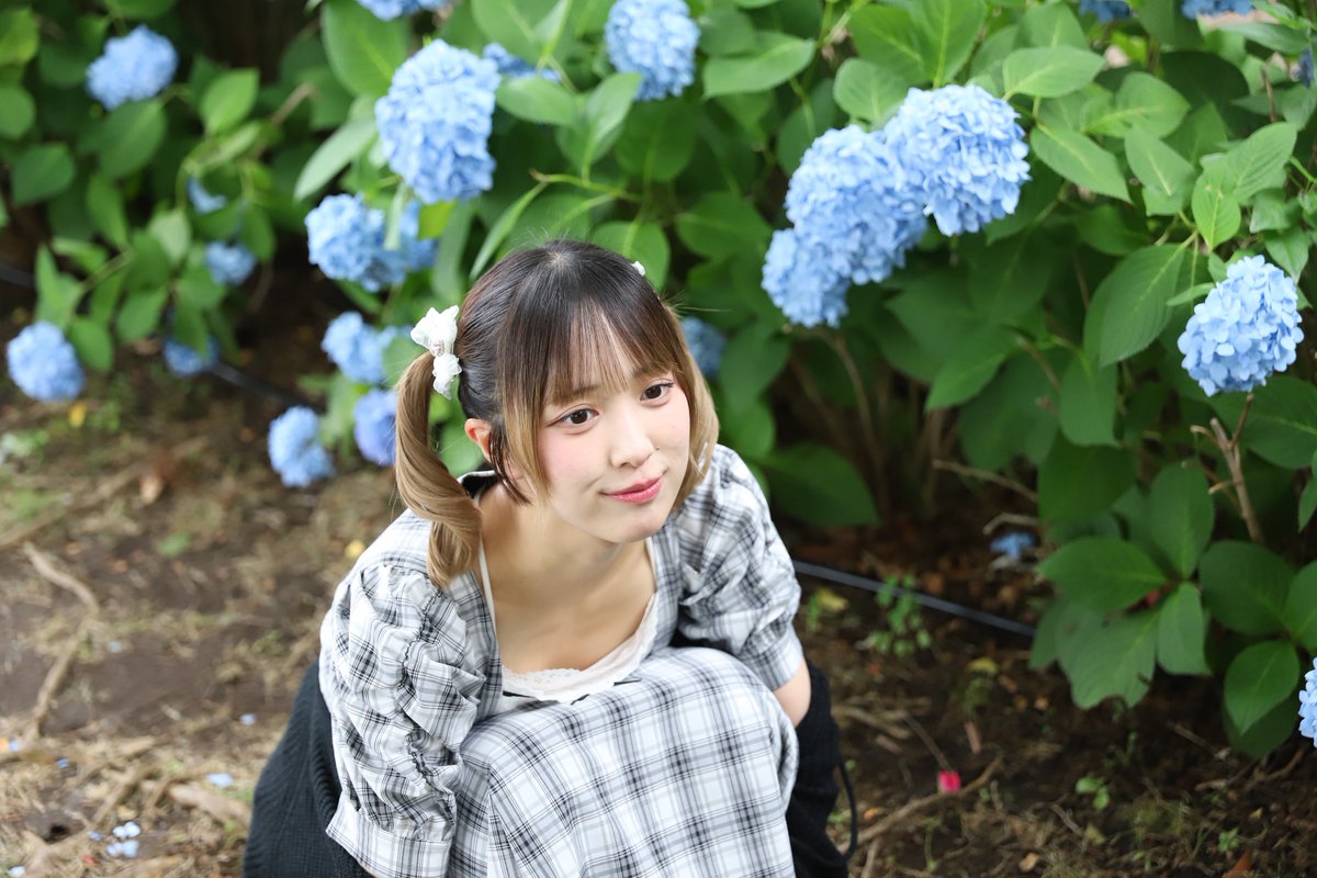 hoteihunoritam1's tweet photo. #お台場
#紫陽花
#ポトレ
@panew_ika いかちゃん🦑 https://t.co/nkWkOiJvbw