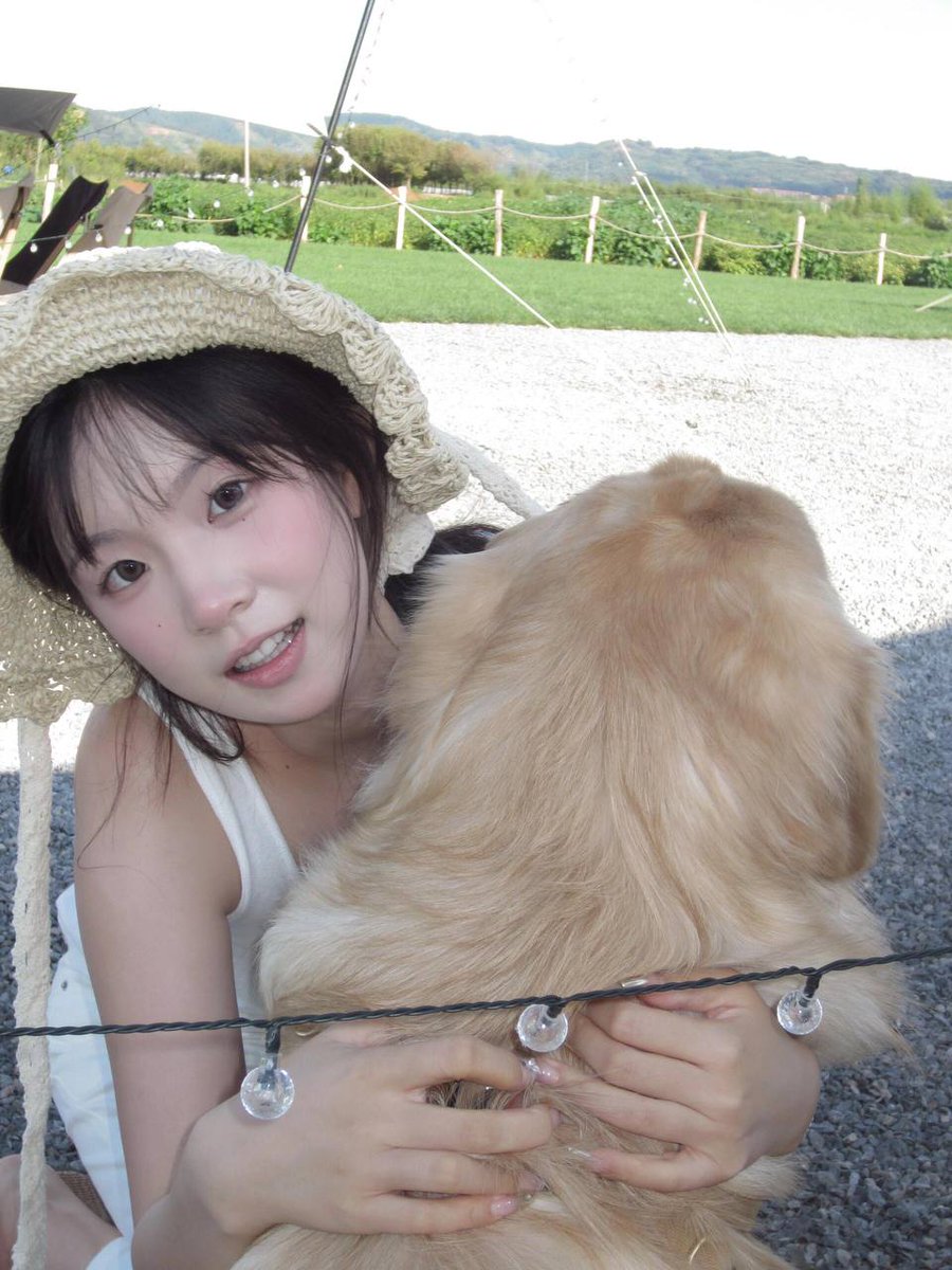 羊小羊 tweet media