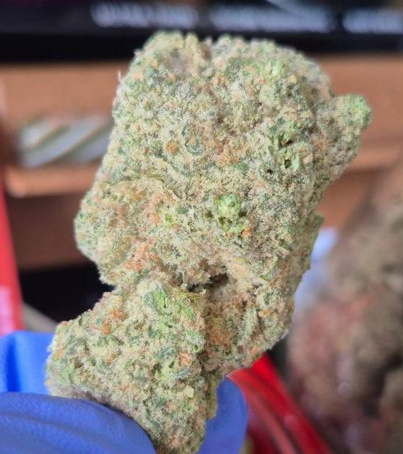 Lioskth's tweet photo. Maconha menu 📋👇https://t.co/inFb7I2JWw

Maconha em São Paulo
Flor em São Paulo
THC em São Paulo
Murruga em São Paulo
Planta em São Paulo
F1 em São Paulo
Verde em São Paulo
ICE,DRY chá
Corre em São Paulo
Crema em São Paulo
Cannabis em São Paulo
Marijuana in SP
Delivery
Extração https://t.co/TPpSi0Dq0M