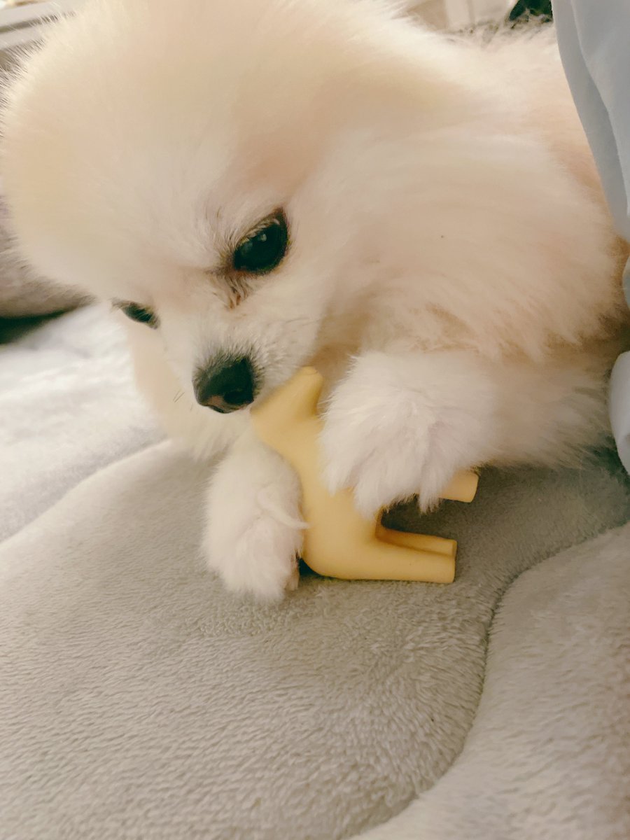 横にきてﾁｬﾑﾁｬﾑし始めるの、愛