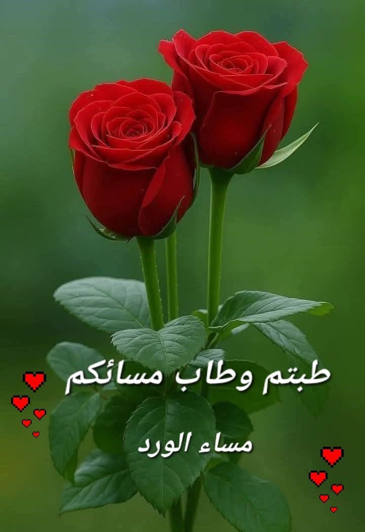 Ashraf Abd elzahir tweet media