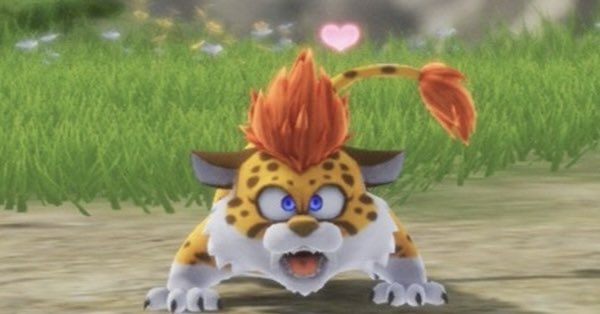 SacreOORer's tweet photo. ネコ科、ネコ科、ネコ、ネコ https://t.co/AGSN4nzed3