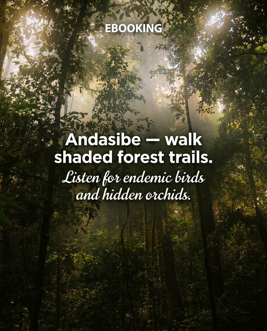 eBooking's tweet photo. 🌍 Discover Madagascar's unique wildlife! 🐾 From lemurs in Andasibe to surreal Tsingy landscapes, adventure awaits! 🏞️✨ Relax on pristine beaches or snorkel vibrant reefs. 🌊🐠 Which spot will you visit first? Book your stay easily on eBooking! 👇 https://t.co/muQF2OlKpx