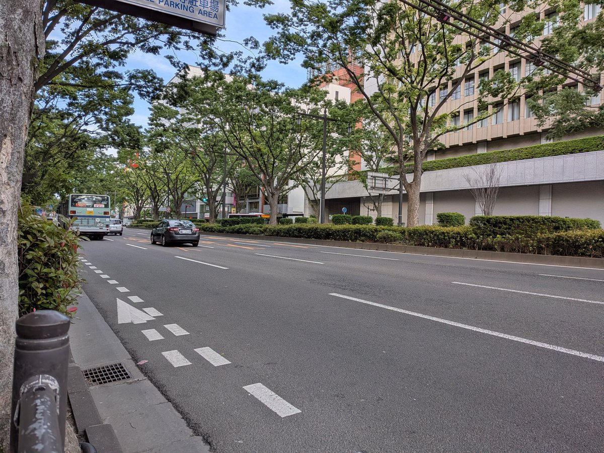 Michipomuta's tweet photo. 緑萌える季節のこの街は
清々しい風が舞うから初恋が似合う街だと思う https://t.co/wwjR7jfMmz