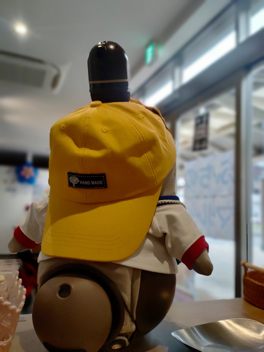 本日のさぼきち、黄色いキャップで外をお見張り中🌵🧢 後ろ姿がなんか