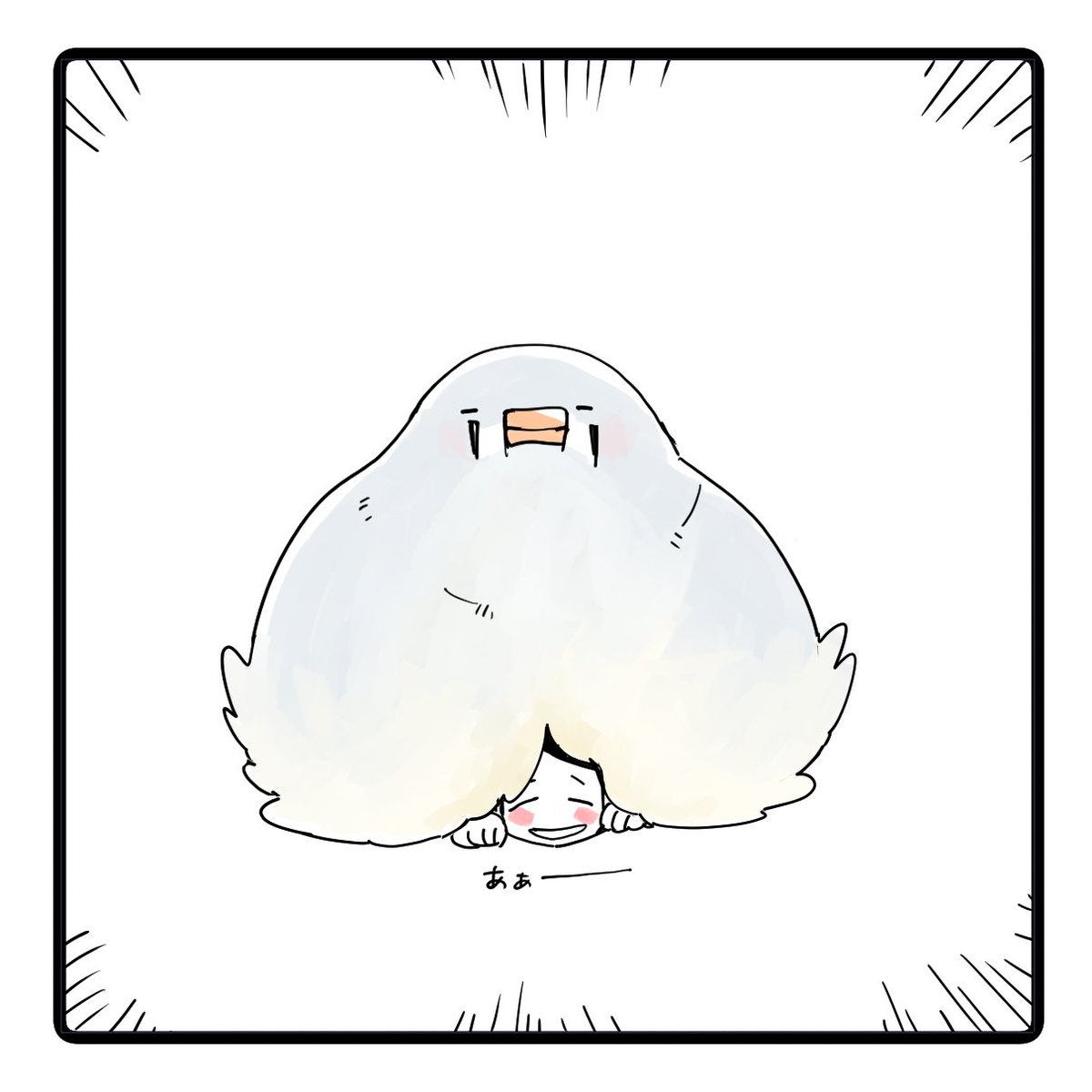 yonemaru6's tweet photo. 「かいぬしの夢」 
 飼い主妄想キンカチョウ漫画
 #マンガ #４コマ #イラスト https://t.co/Hw3Tq4ud5n
