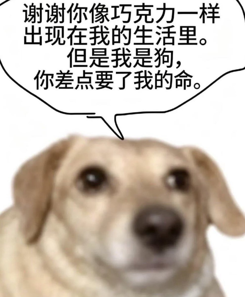 bccc0607's tweet photo. 求大家了 来个人教我如何跟女生聊天吧
一直没话题 一直句点别人🙂‍↔️ https://t.co/SLguJiT3vP