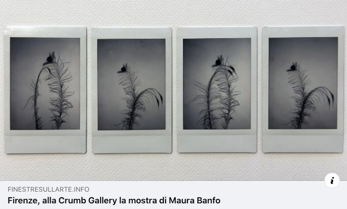 davisandc's tweet photo. Finestre sull'arte definisce “Fino a qui” una ricerca intima sul tempo, la memoria e la trasformazione. La personale di Maura Banfo inaugura l’11 giugno da CRUMB Gallery a Firenze e sarà visitabile fino al 3 ottobre 2026.
https://t.co/xcvNnAZZ3Y https://t.co/gDUY6CFIG0