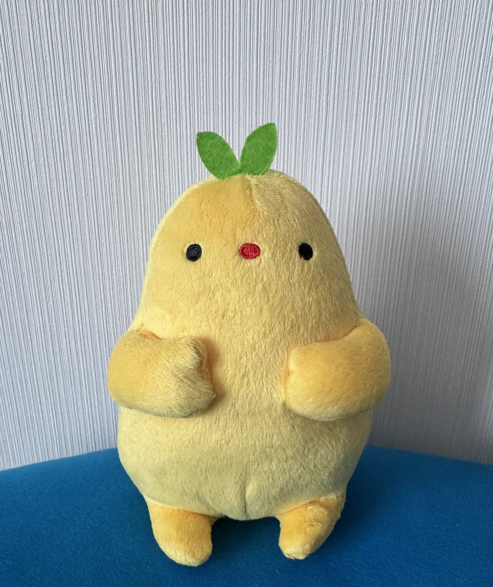 ultimo716's tweet photo. 今日は病院🏥
先月の年1の検査、異常なし✨️
前から聞いてたけど出張医の先生が初対面で若い男性医師だった。

前の病院からお世話になってる薬局のカウンターで見てて気になってた #なーの が売ってて即お迎えｷｬﾜ(*´ `*)♡ｲｲ😍

 #ぬい撮り https://t.co/47R3C6DXmS