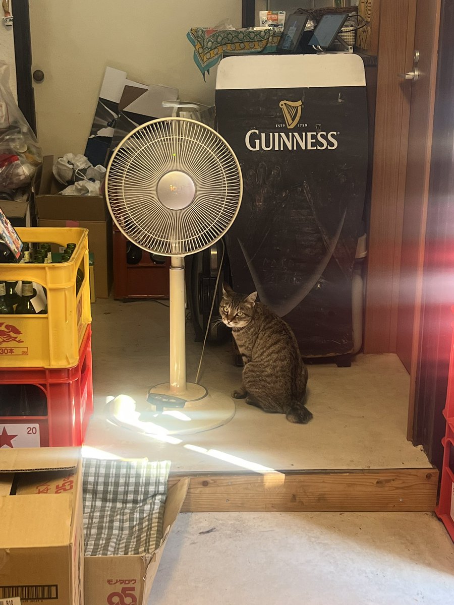 churasanta_'s tweet photo. 福岡集合！
初っ端から2軒にフラれたものの飲み旅スタート！
10,13は博多、11,12は小倉でひたすら飲んでるので乾杯できる方よろしくお願いします！ https://t.co/7qnyxzlWf3