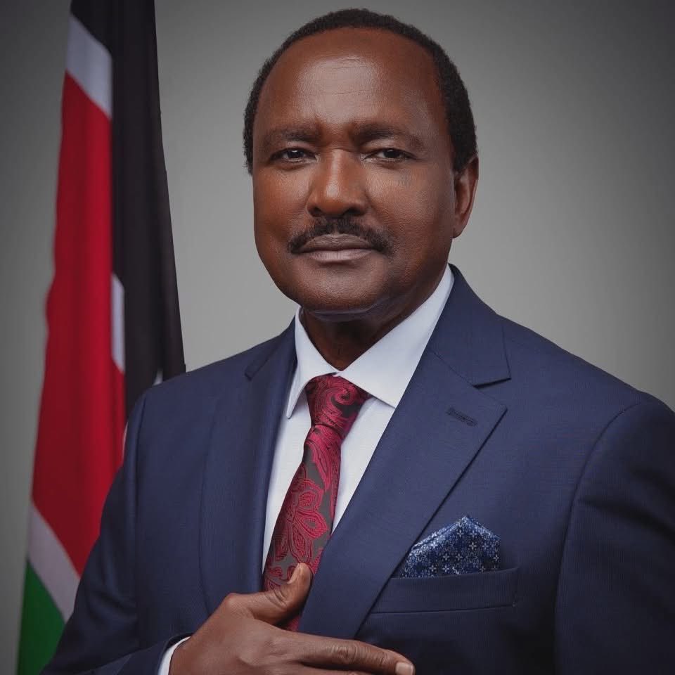 MbulaMutula's tweet photo. This is the Official Presidential portrait we shall all be using from next year. God hear us. https://t.co/91nDIdIkkr