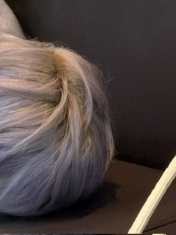 MyPookieRK's tweet photo. 이 노루궁뎅이버섯 누구야? https://t.co/0rtfhWSOKw