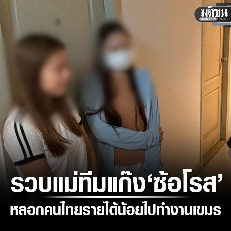 แมวตัวส้มๆ tweet media