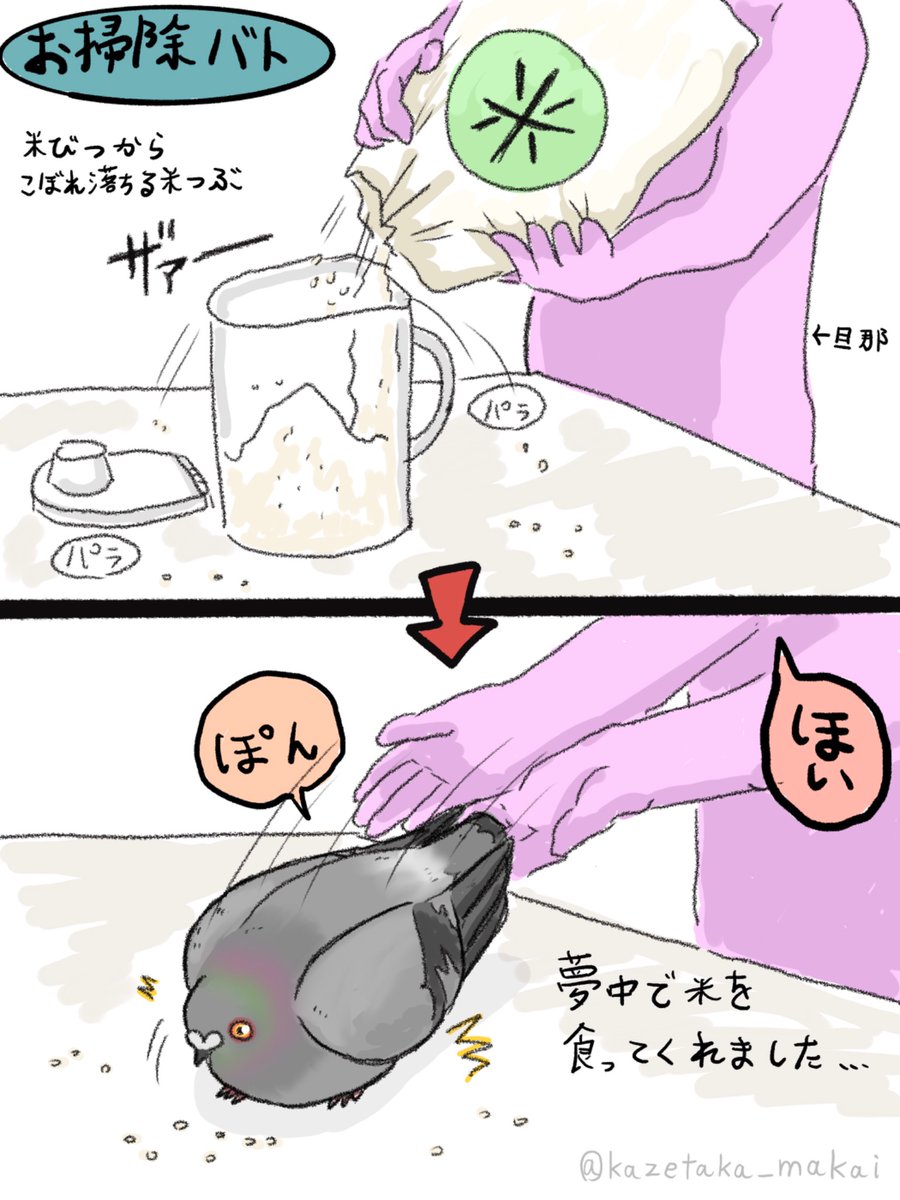 kazetaka_makai's tweet photo. 【再掲】お掃除バト
❁レース鳩❁ドバト❁カワラバト❁
❁Pigeon❁Dove❁ https://t.co/wzpQMpRMAn