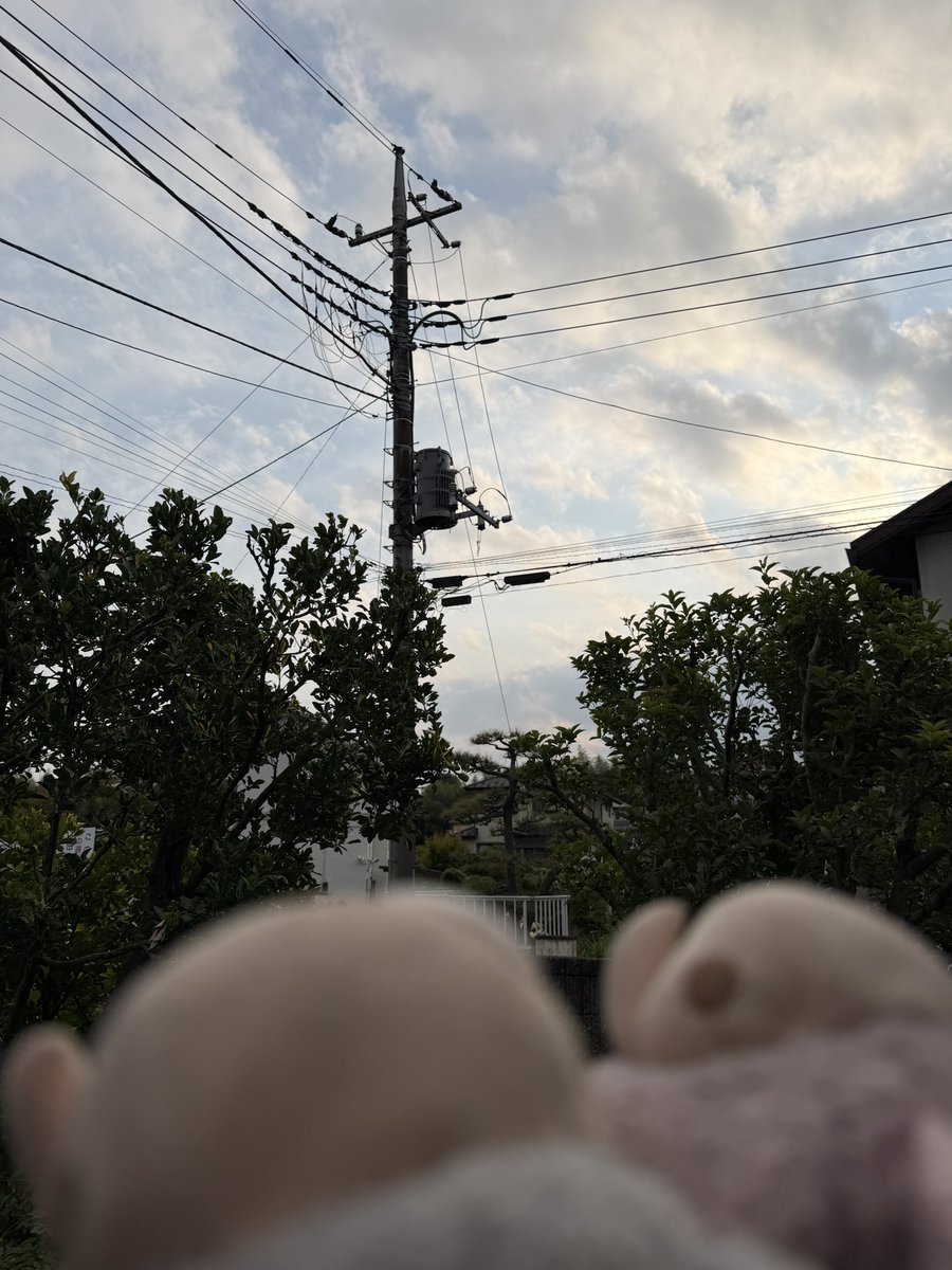 BS_MONGYA's tweet photo. @gatturi_nyanko あすこにおってん、あのでんちゆ、
うん、ちかいからこえがとてもおおきかったね、
せやな、あんなにちかく、なかなかなか そうはないな、
うん、なか がおおいね、 https://t.co/UikykMGmG1