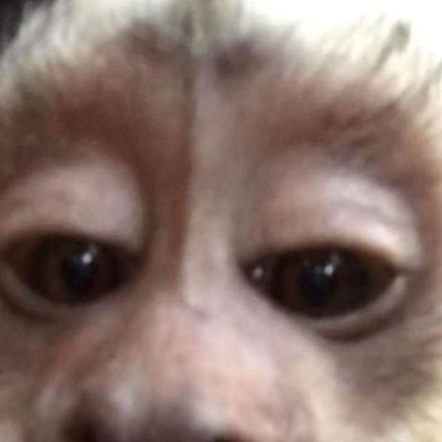 Resalej1's tweet photo. @bethzbyy nooooo jajajajaj https://t.co/5HfYqM00lE