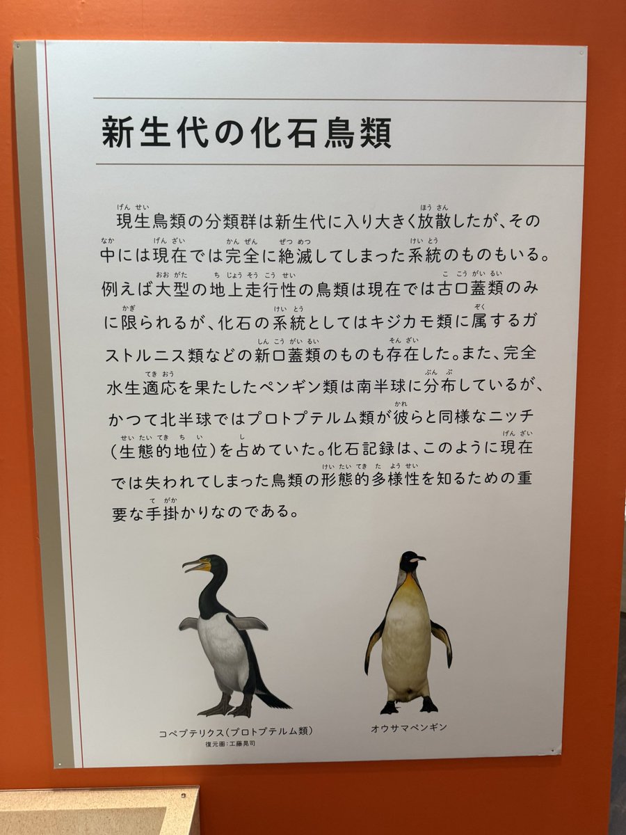Ek0_'s tweet photo. 系統樹見るの楽しかった https://t.co/WsT1KvI9oz