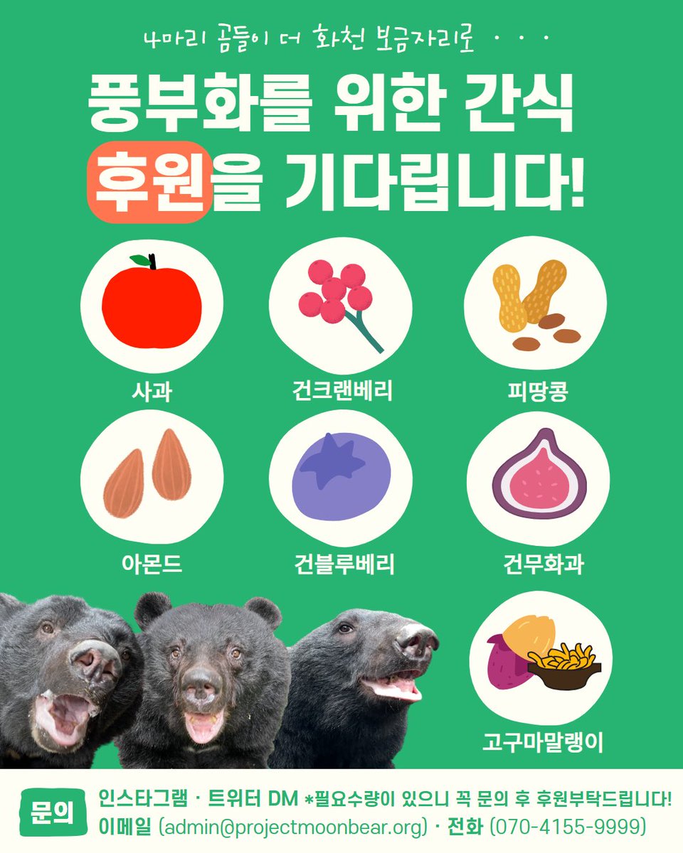 ProjectMoonBear's tweet photo. 🍎 풍부화를 위한 간식 후원을 기다립니다!

벌써 6월의 중순을 향해 가고 있습니다. 화천 곰보금자리에는 찔레, 또또, 해야와 산들까지 총 4마리의 곰이 새로 이사를 왔습니다. 곰들이 화천에 천천히 적응하며 다양한 것을 먹고, 맡고, 경험하며 잘 지내주기를 바라는 활동가들의 간절한 마음을 채워주는 중이랍니다.

최근 4마리의 곰이 추가로 구조되면서, 곰들의 적응과 훈련을 돕는 '행동 풍부화'를 지속하기 위해 더 많은 간식이 필요합니다. 마침 곰들을 응원하는 마음으로 간식을 보내고 싶다는 문의를 종종 보내주셔서, 감사한 마음을 담아 정식으로 간식 후원을 신청받으려고 합니다.

곰들의 풍부화에 필요한 간식은 ▸ 피땅콩, 건크랜베리, 건블루베리, 아몬드, 고구마말랭이, 건무화과 ◂ 입니다. 화천 시설은 식품류의 보관 공간이 넉넉하지 않아 간식을 한 번에 많이 받기가 어렵습니다. 정해진 공간만큼만 보관할 수 있어서, 메시지로 먼저 문의해 주시면 담당 활동가가 후원 방법과 수량을 안내해 드리겠습니다. 곰들을 위한 소중한 간식 후원을 기다립니다. 많은 관심과 참여 부탁드려요!

🫐 간식 후원 문의 및 신청 🥜
✦ 이메일 : admin@projectmoonbear.org
✦ 전화 : 070-4155-9999