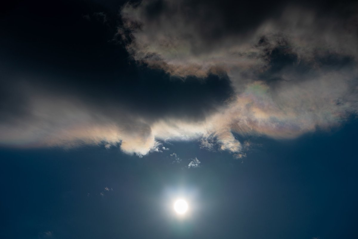 青雲それは君がみた光 ぼくがみた希望 青雲それはふれあいの心 幸せの